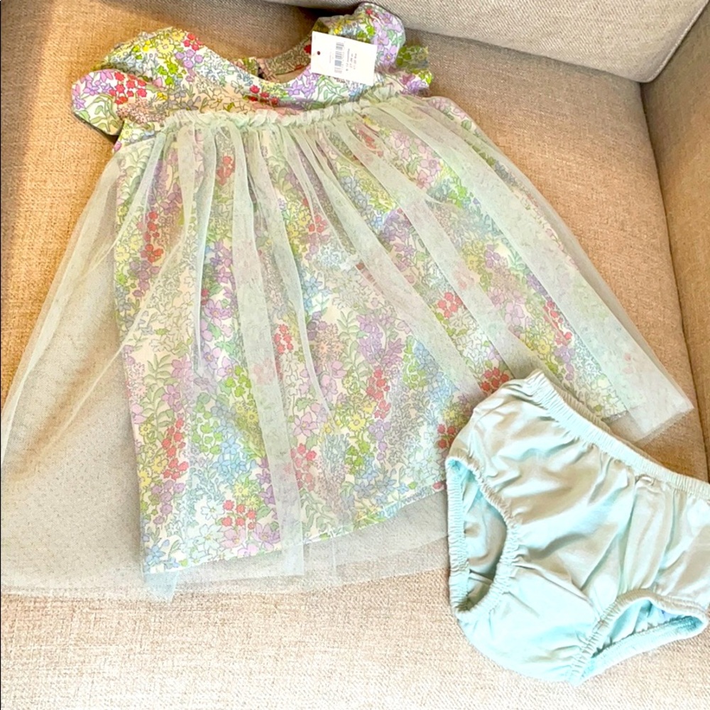 Baby gap spring dress